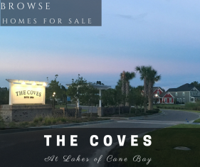 Homes for Sale in The Coves