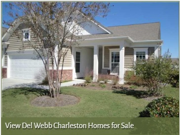 Homes for Sale in Del Webb Charleston