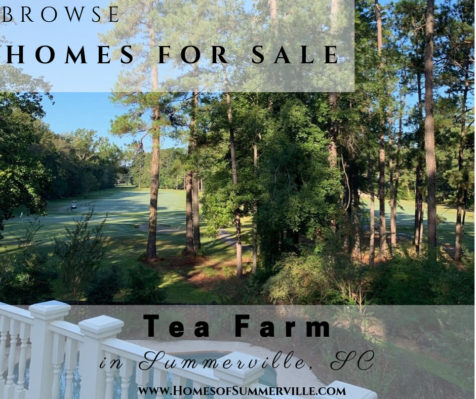 Homes for Sale in Tea Farm in Summerville, SC